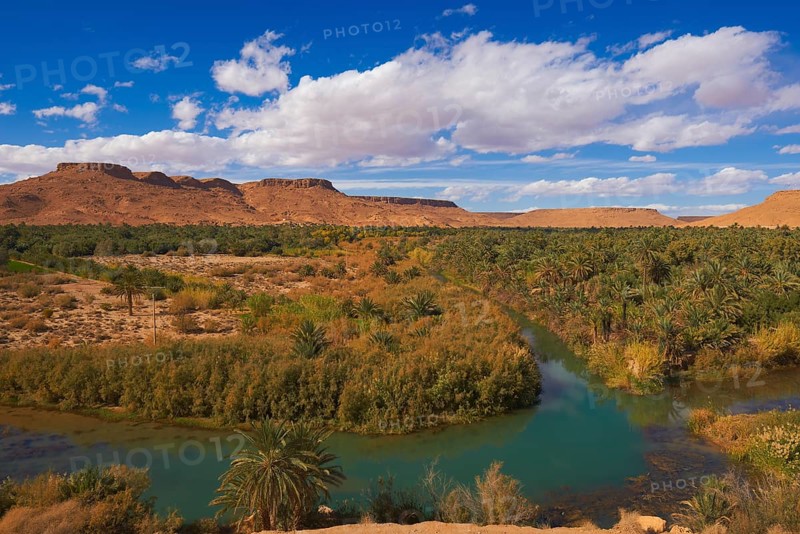 Tafilalet Oasis