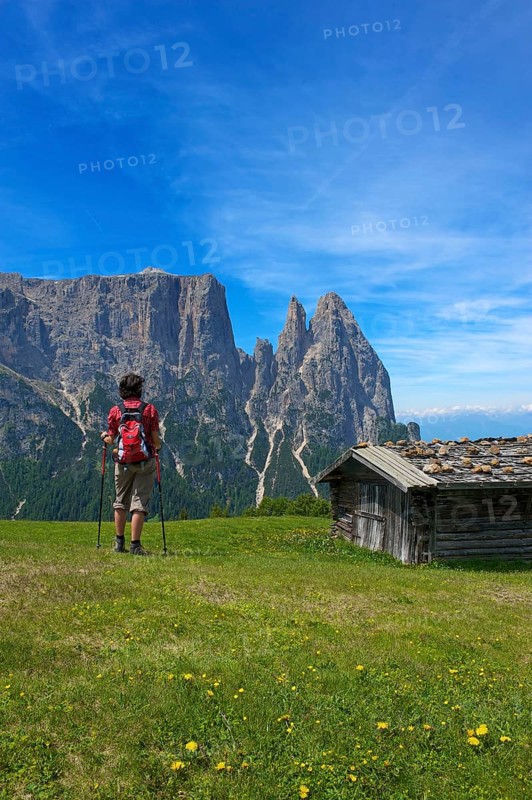 Alpine pasture on the Alpe di Siusi with Sciliar
