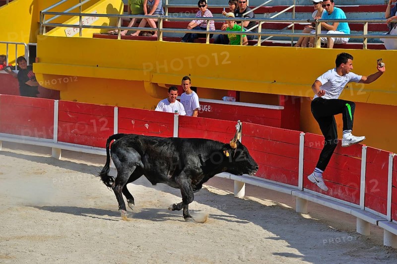 Bullfight