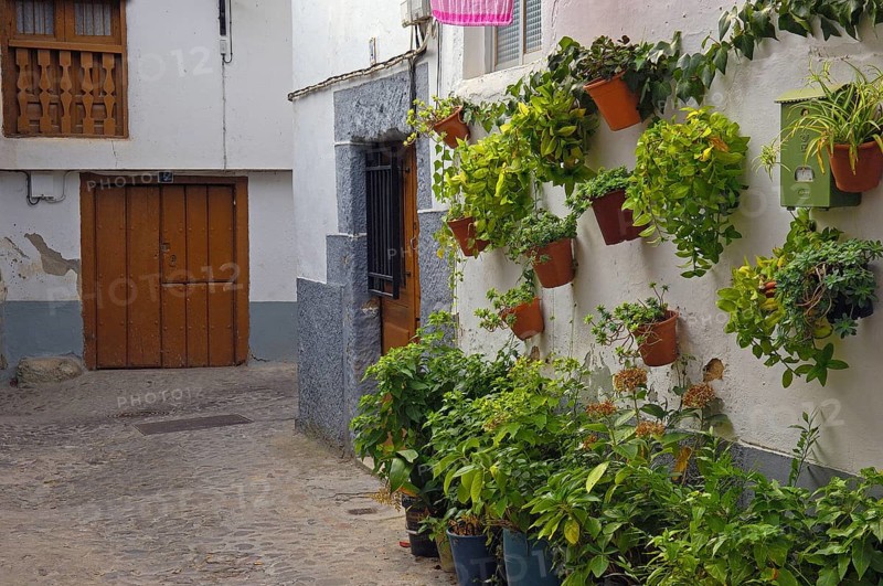Hervas