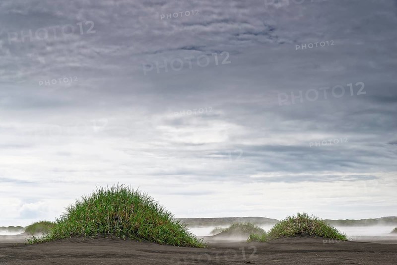 Little hills of grass in fog