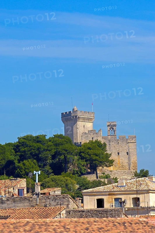 Beaucaire Castle