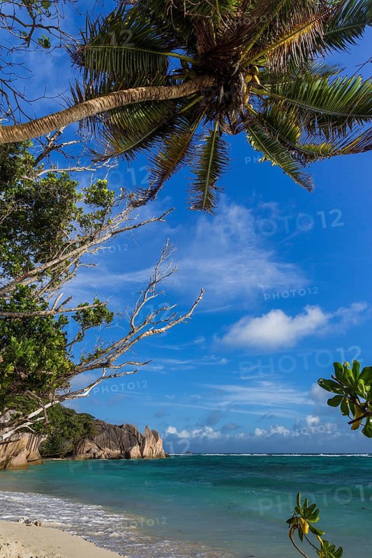 Beach Anse Source D'Argent