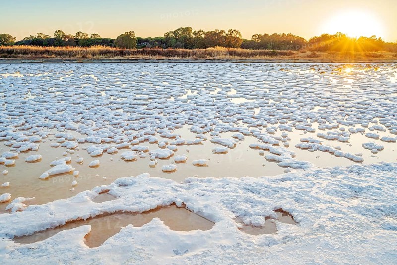 Salt production