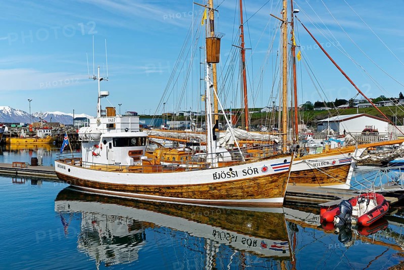 Old fishing boats are used for whale-watching