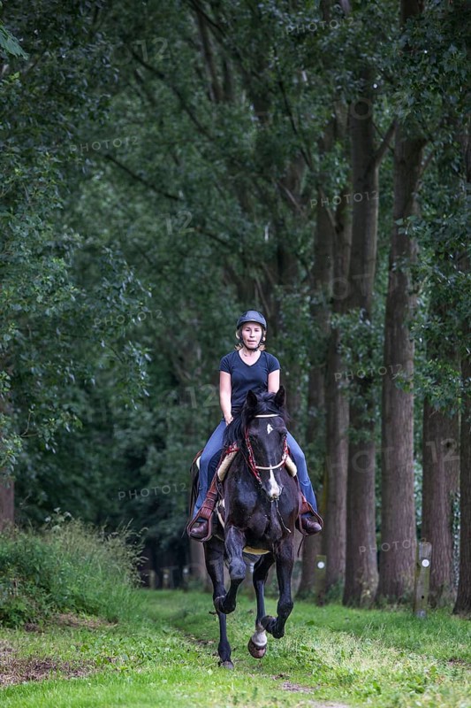 Rider