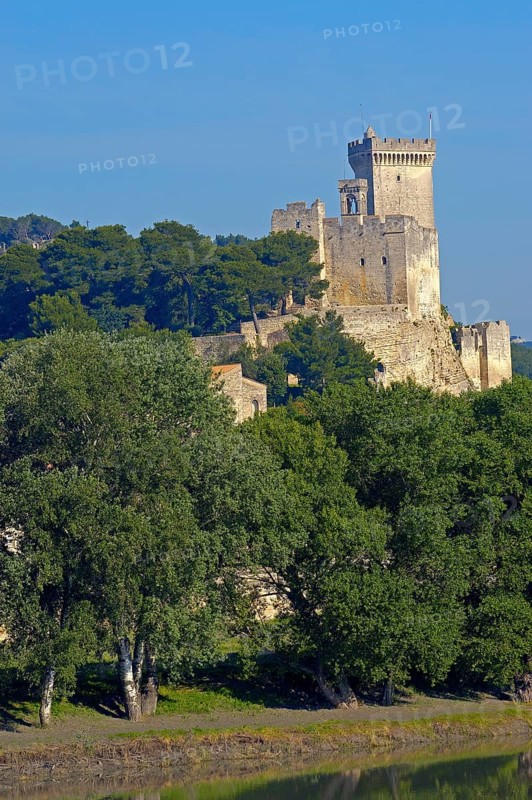 Beaucaire Castle