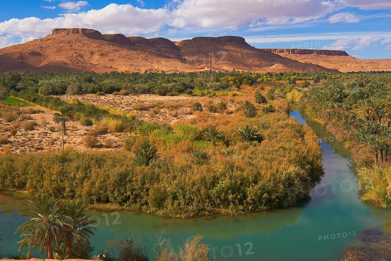 Tafilalet Oasis