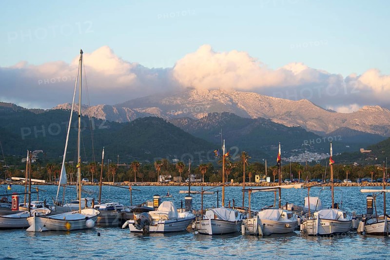 Fishing port of Port d'Andratx