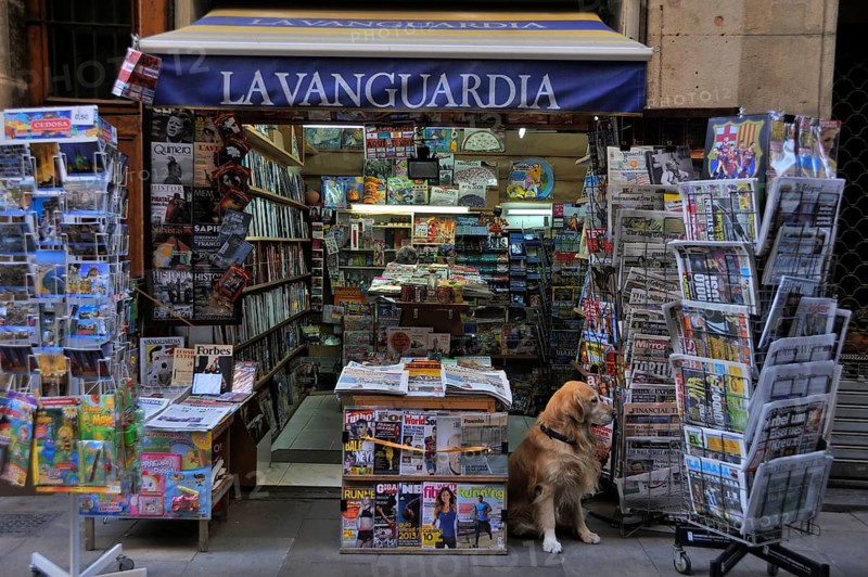 Newsstand