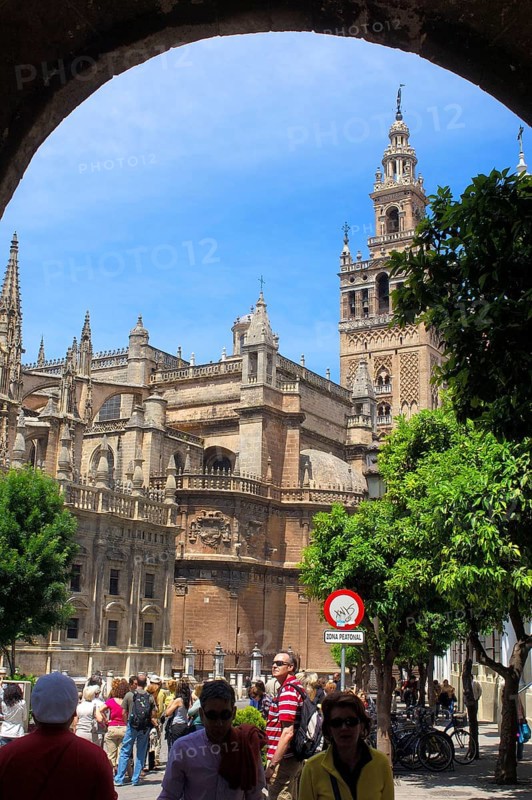Cathedral and Giralda Tower