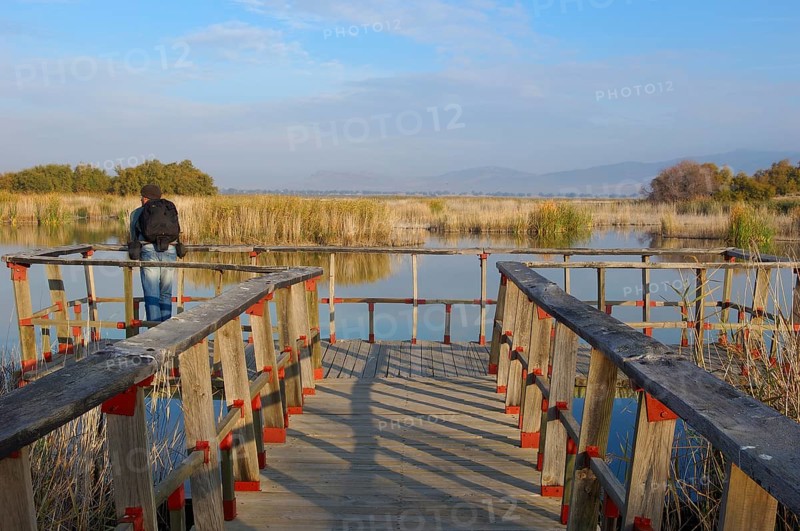 Daimiel