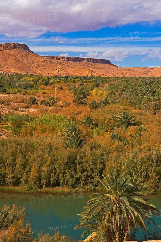 Tafilalet Oasis