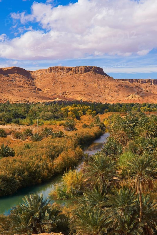 Tafilalet Oasis