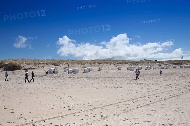 Sandy beach beach at the Hoernumer Odde