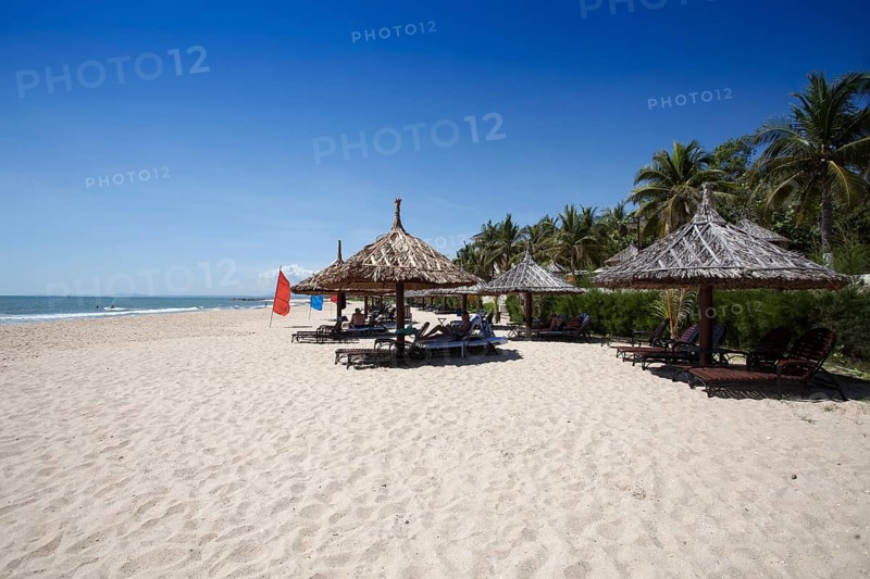 Beach with palm tree sunshade