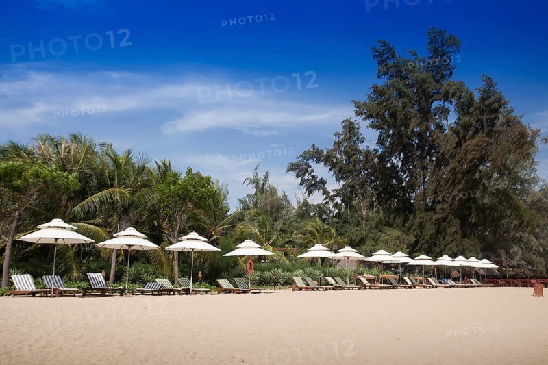Sunbeds on the beach