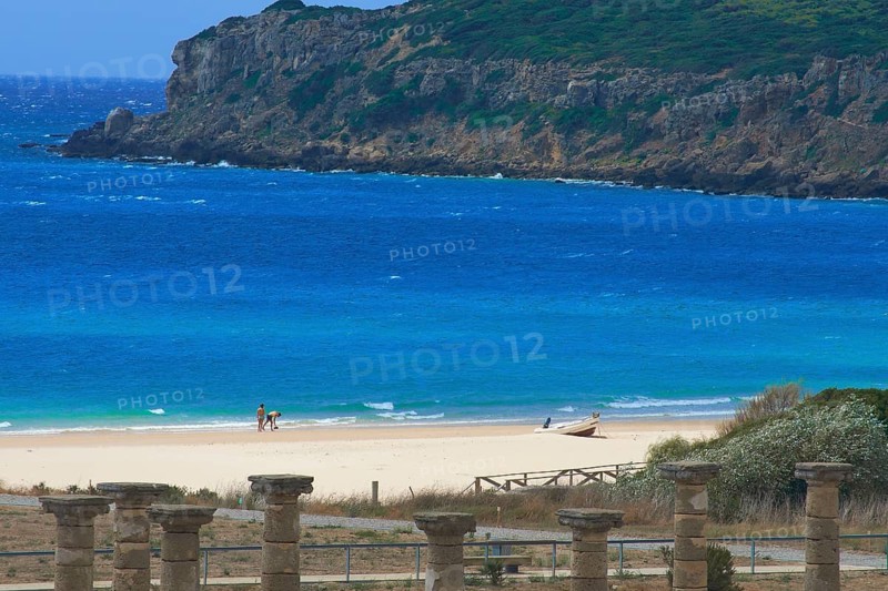 Bolonia
