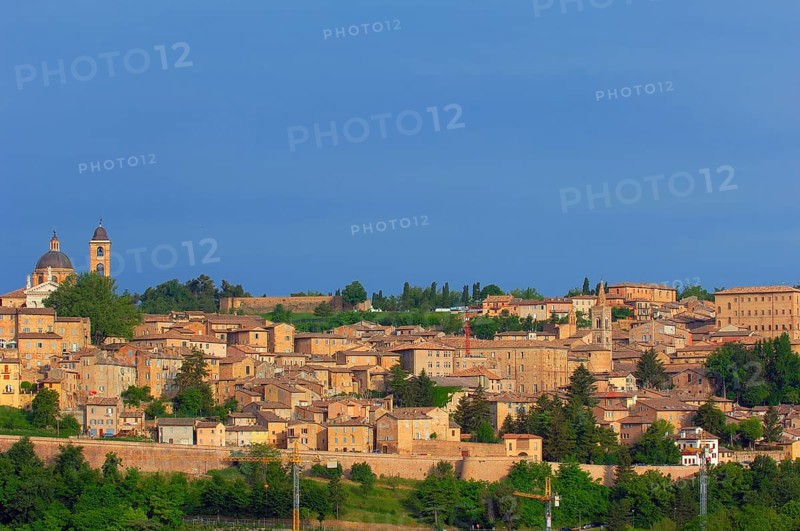 Urbino