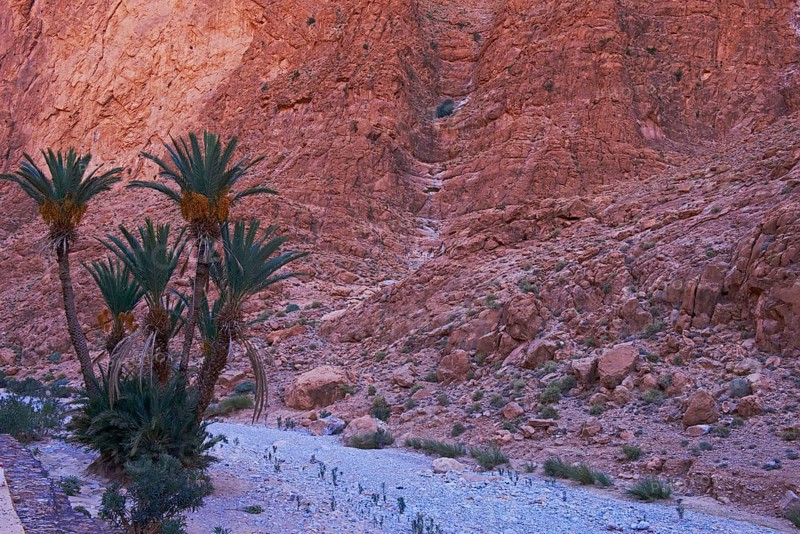 Todra Gorge