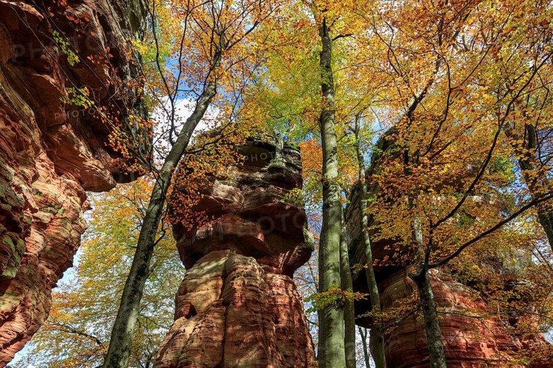 Natural Monument