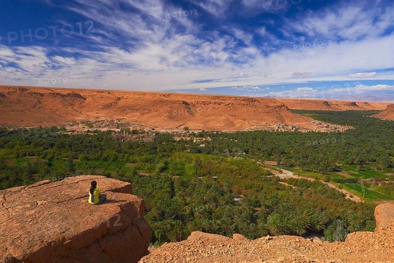 Tafilalet Oasis