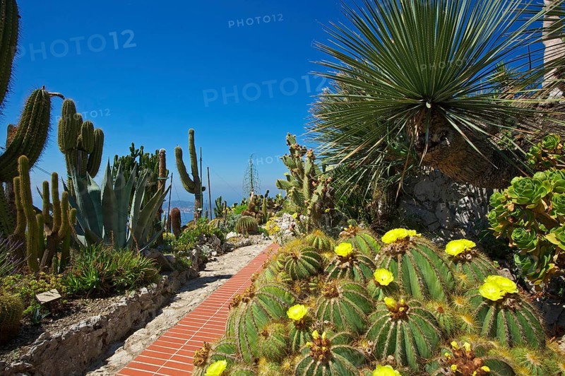 Jardin Exotique in Eze