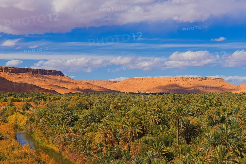 Tafilalet Oasis