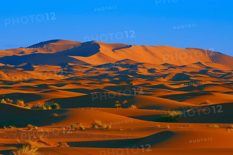 Merzouga