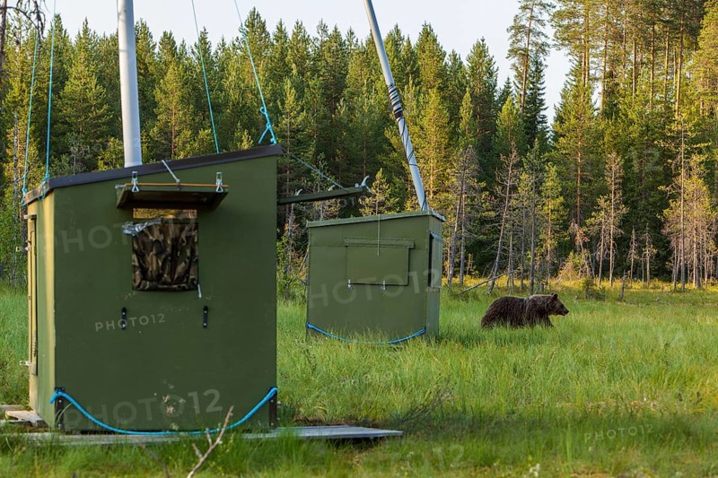 Camouflage tents for photographers