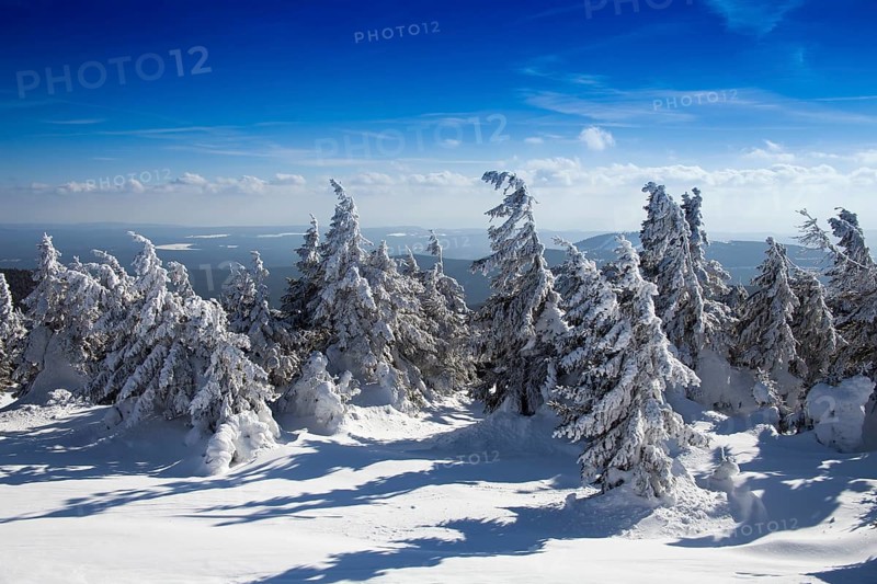 Harz