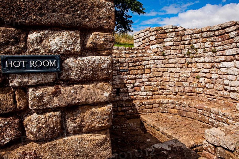 Chester Fort