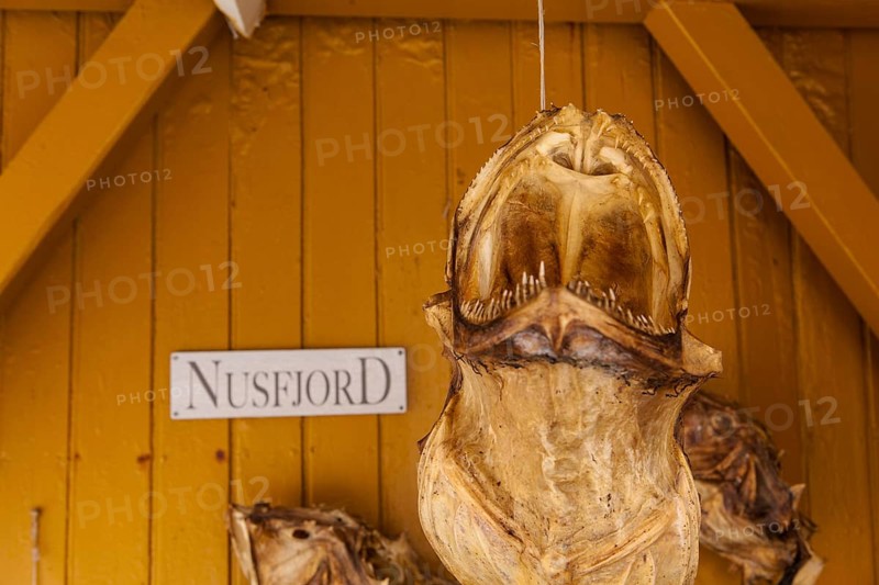 Dried fish