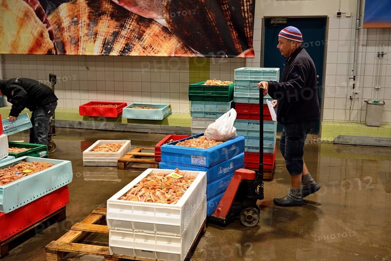 Fish auction