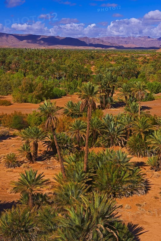 Djebel Kissane