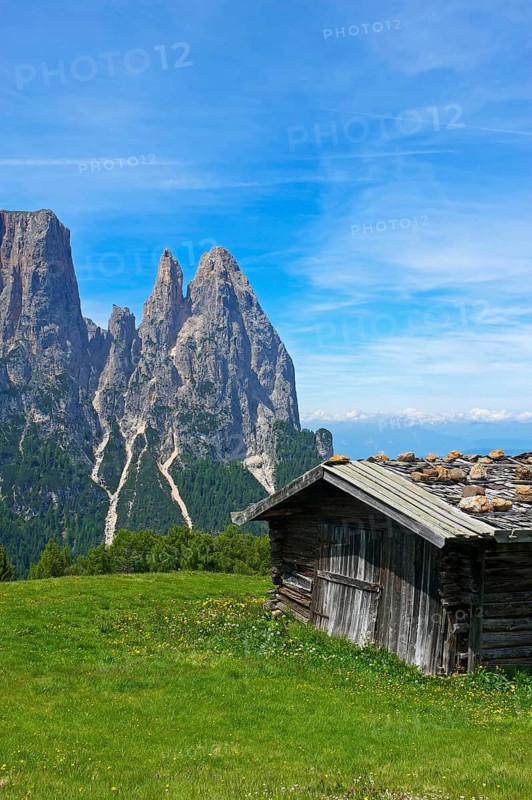 Alpine pasture on the Alpe di Siusi with Sciliar