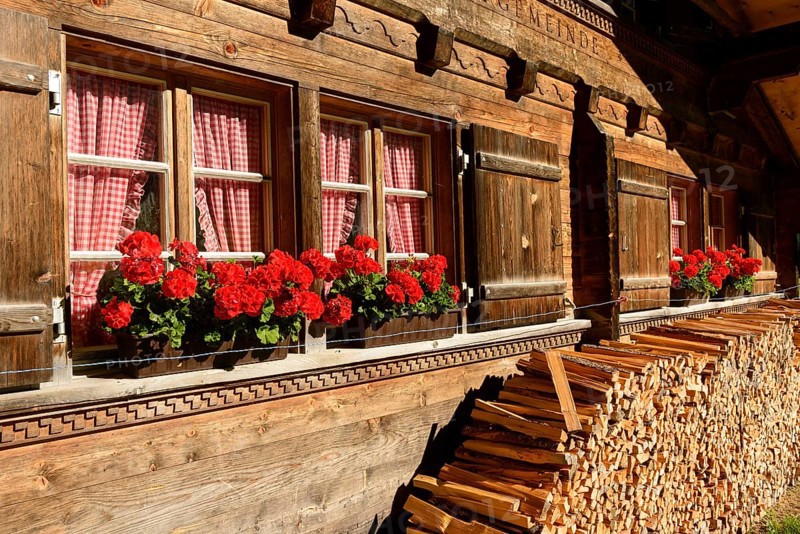 Alpine hut