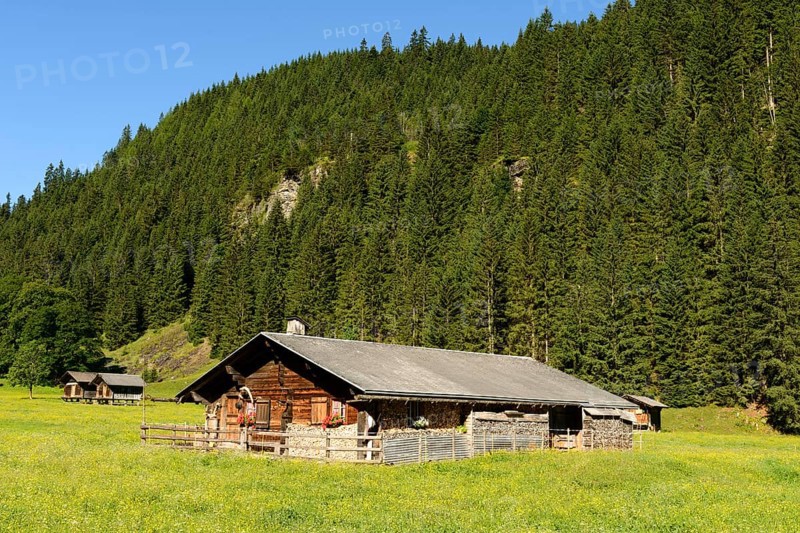 Alpine hut