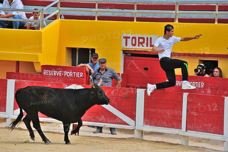 Bullfight
