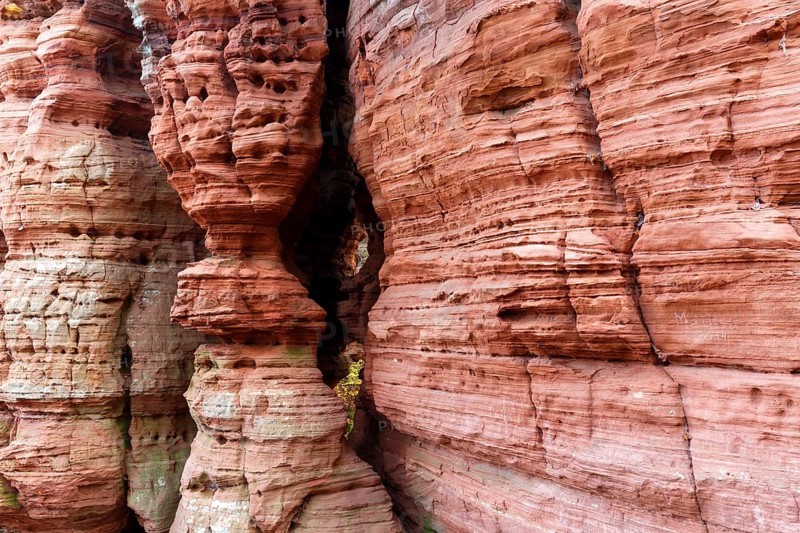 Natural Monument