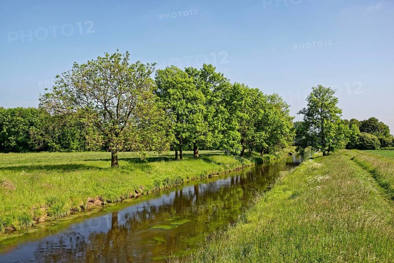 Niers