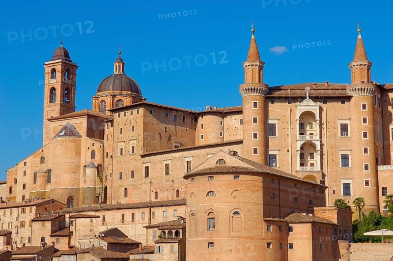 Urbino
