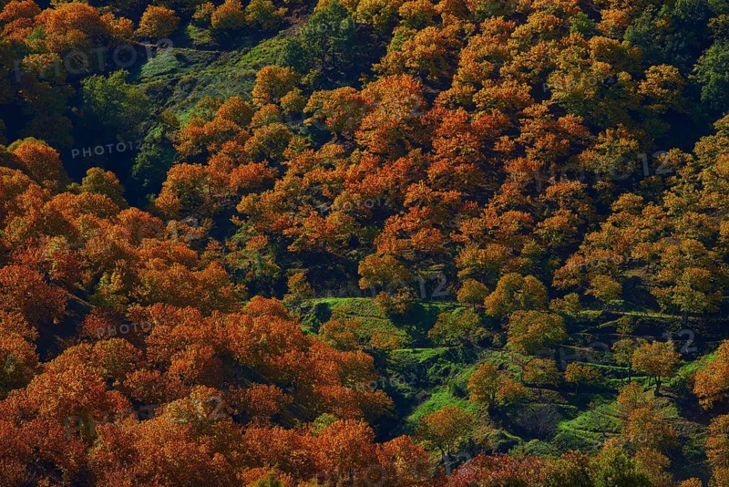 Valle del Genal