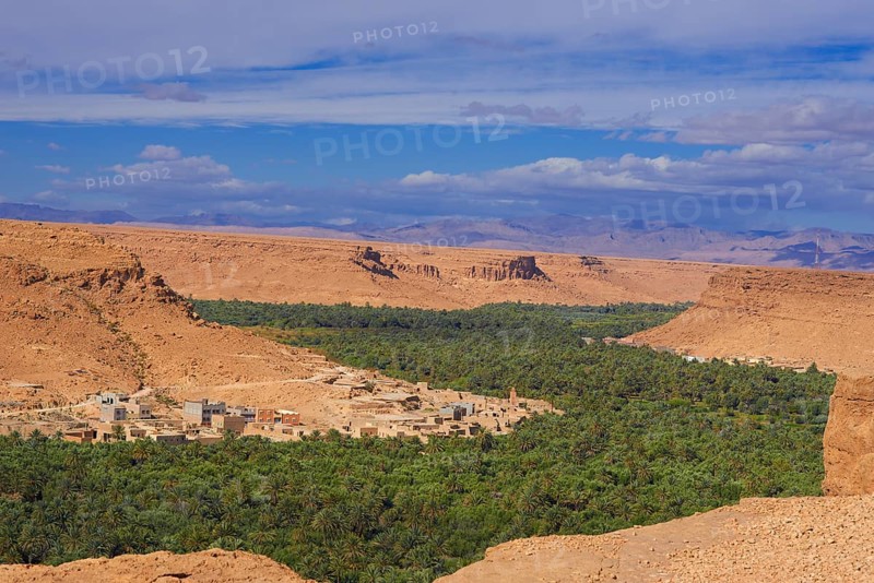 Tafilalet Oasis
