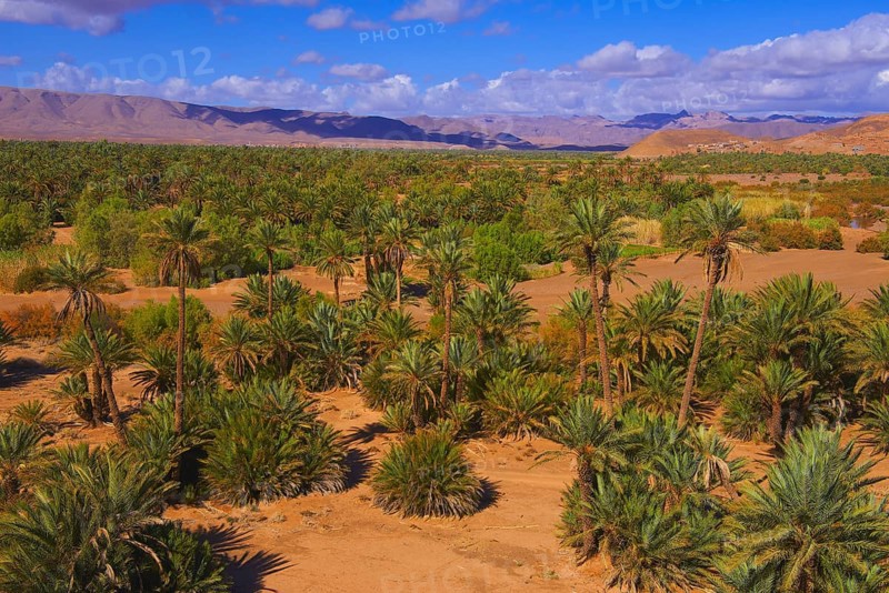 Djebel Kissane