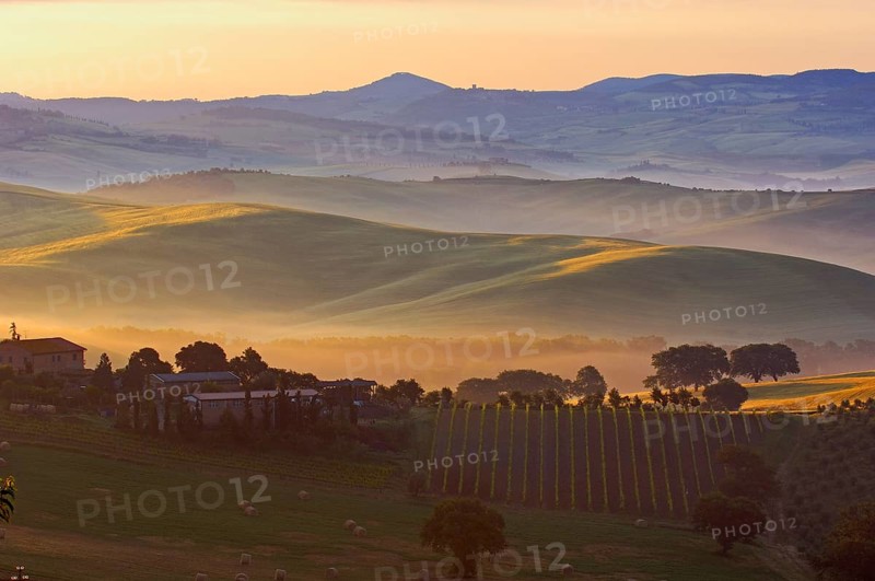 Val d'Orcia. Orcia valley at dawn. Morning mist. UNESCO World Heritage Site. San Quirico d'Orcia. Province of Siena. Tuscany. Landscape in Tuscany. Italy