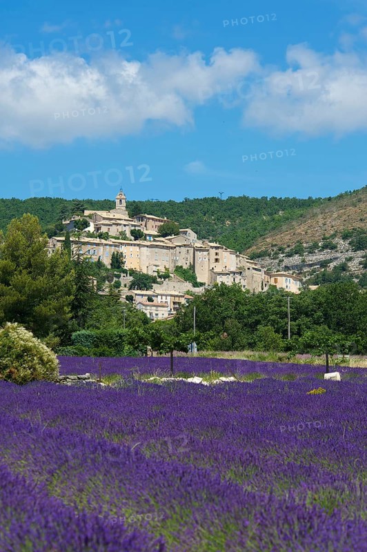 Lavender field near Banon