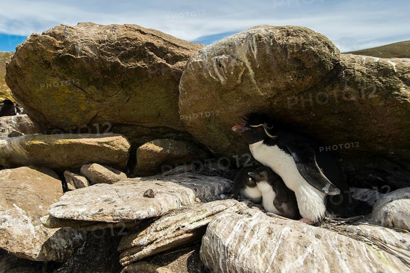 Saunders Island