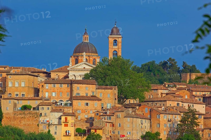 Urbino
