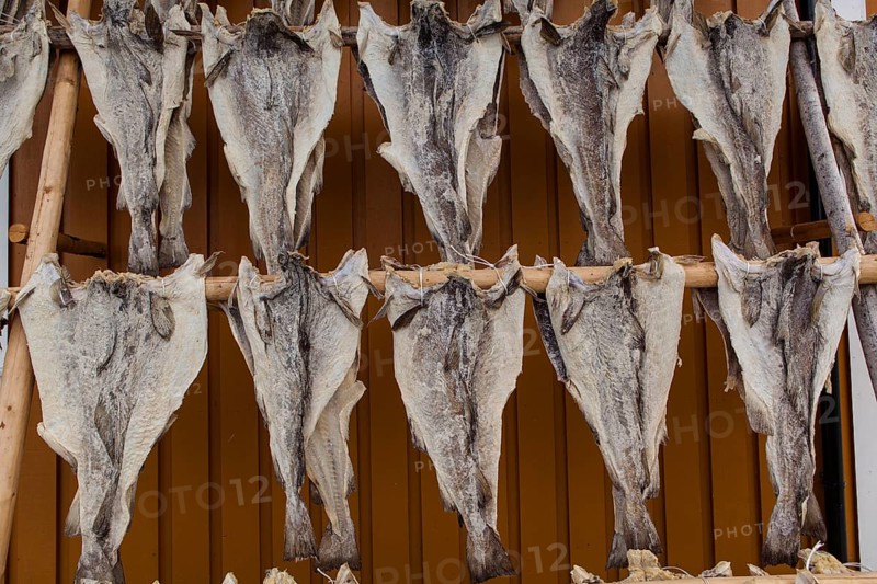 Dried fish